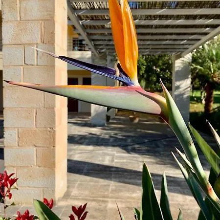 Aggelos And Thisbe Chania Suburbs Sea View Holiday home