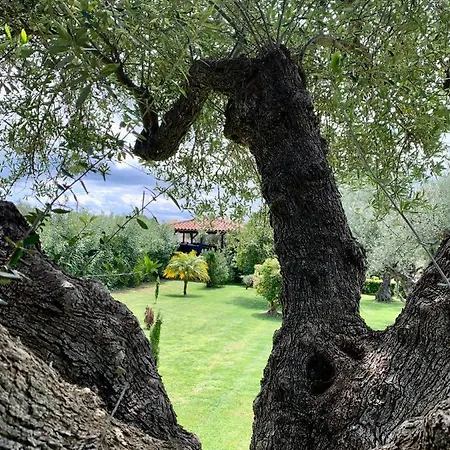 Aggelos And Thisbe Chania Suburbs Sea View