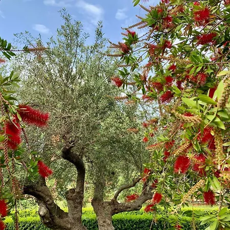 Aggelos And Thisbe Chania Suburbs Sea View * Chania (Crete)