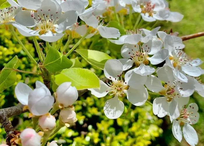 Aggelos And Thisbe Chania Suburbs Sea View Holiday home Chania (Crete)