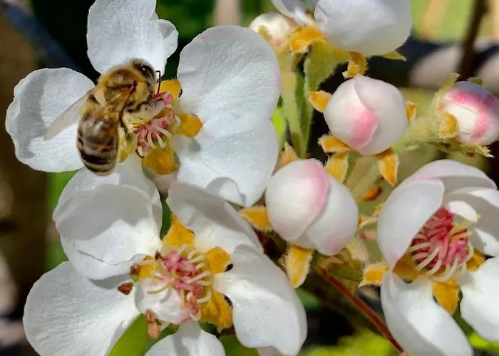Aggelos And Thisbe Chania Suburbs Sea View Holiday home Chania (Crete)
