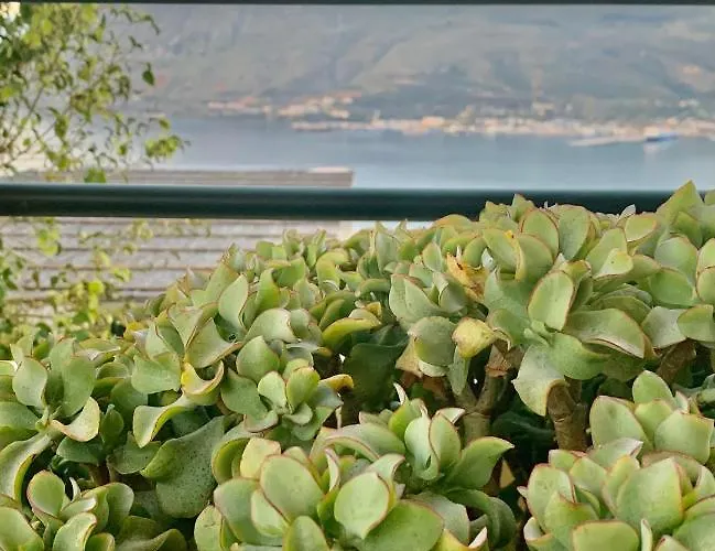 Aggelos And Thisbe Chania Suburbs Sea View Chania (Crete)