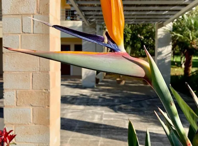 Aggelos And Thisbe Chania Suburbs Sea View Holiday home