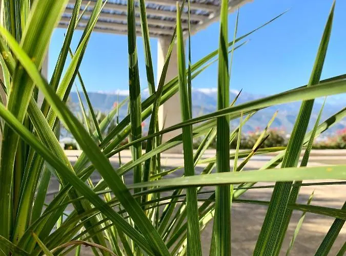 Aggelos And Thisbe Chania Suburbs Sea View Holiday home