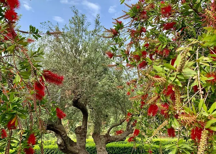 Aggelos And Thisbe Chania Suburbs Sea View * Chania (Crete)