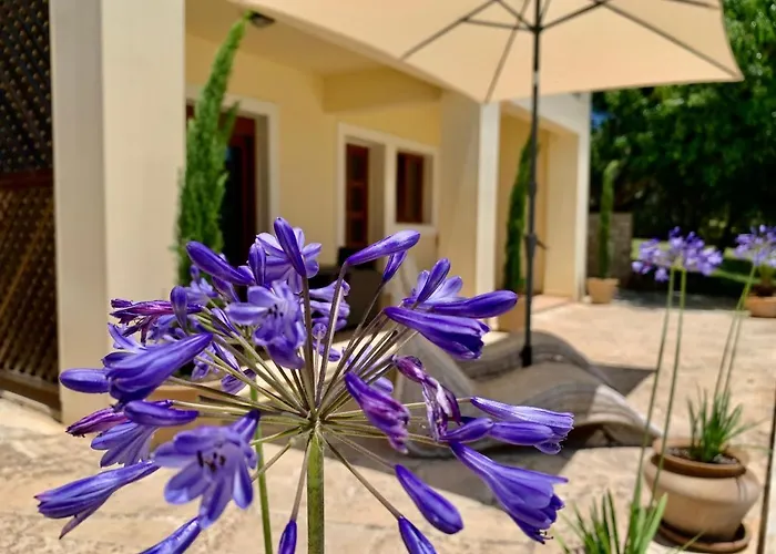 Aggelos And Thisbe Chania Suburbs Sea View Chania (Crete)