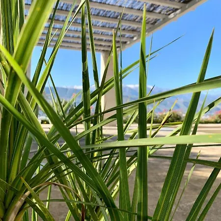 Aggelos And Thisbe Chania Suburbs Sea View Casa vacanze