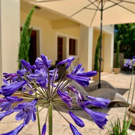 Aggelos And Thisbe Chania Suburbs Sea View La Canea